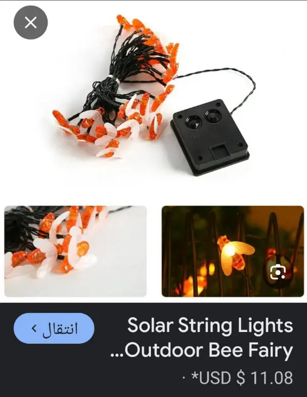 ssss