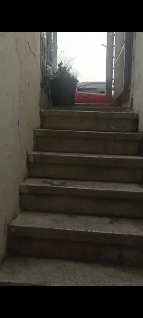 ssss