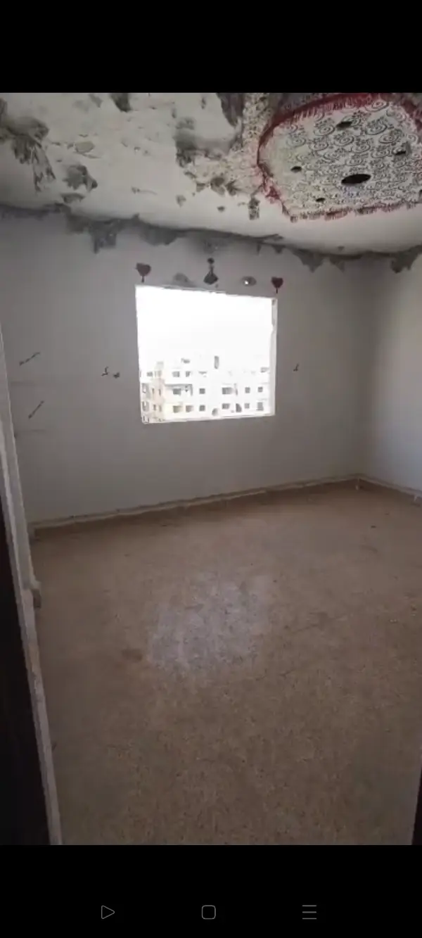 ssss