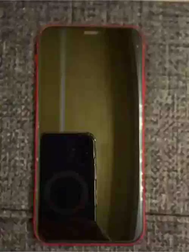 ssss