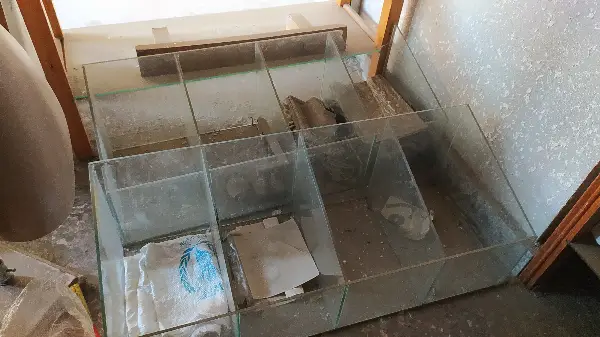 ssss