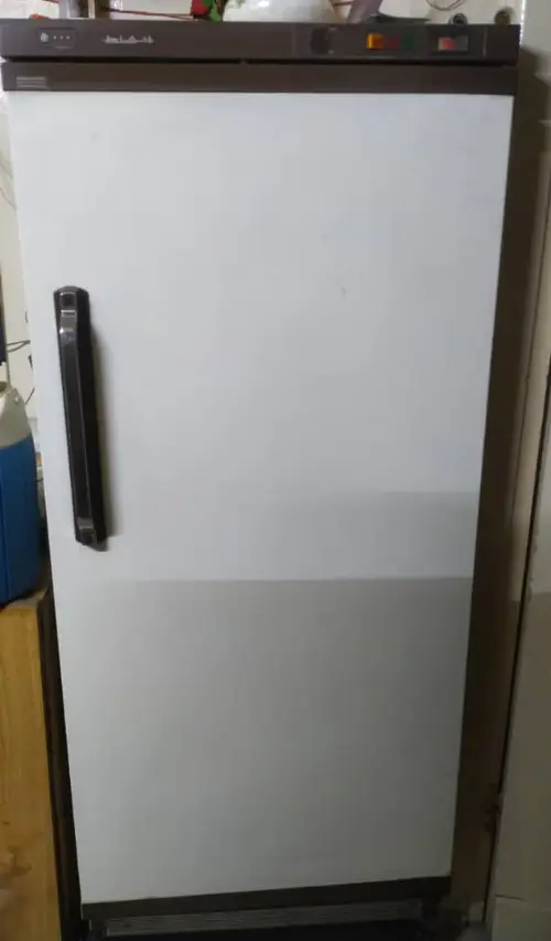 ssss