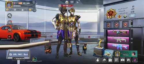 ssss