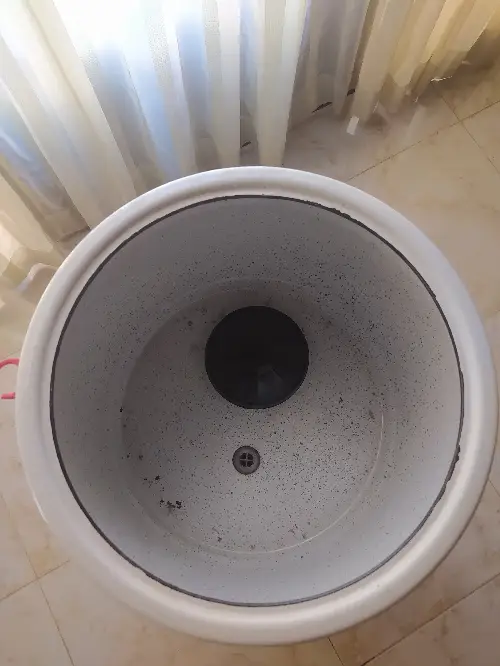 ssss