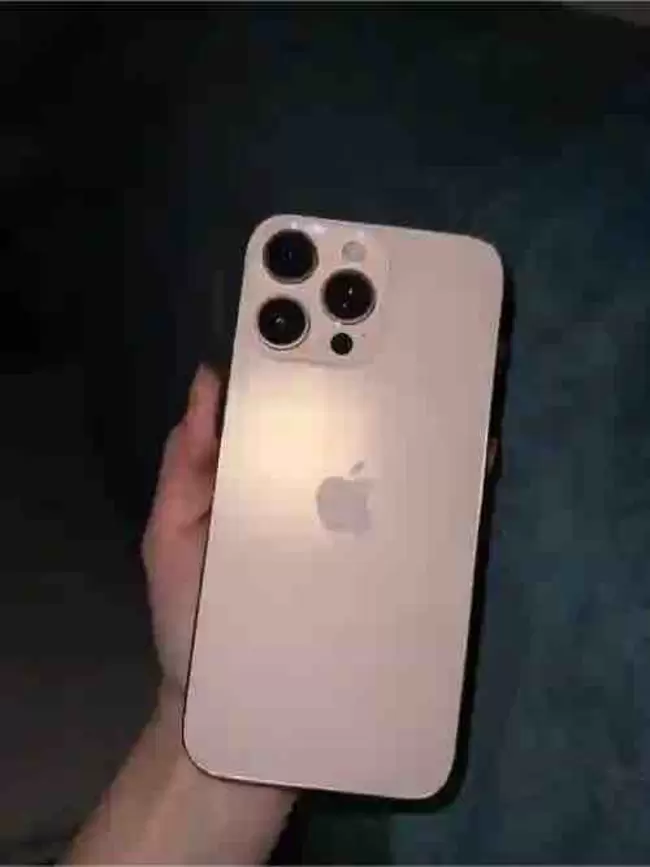 ssss