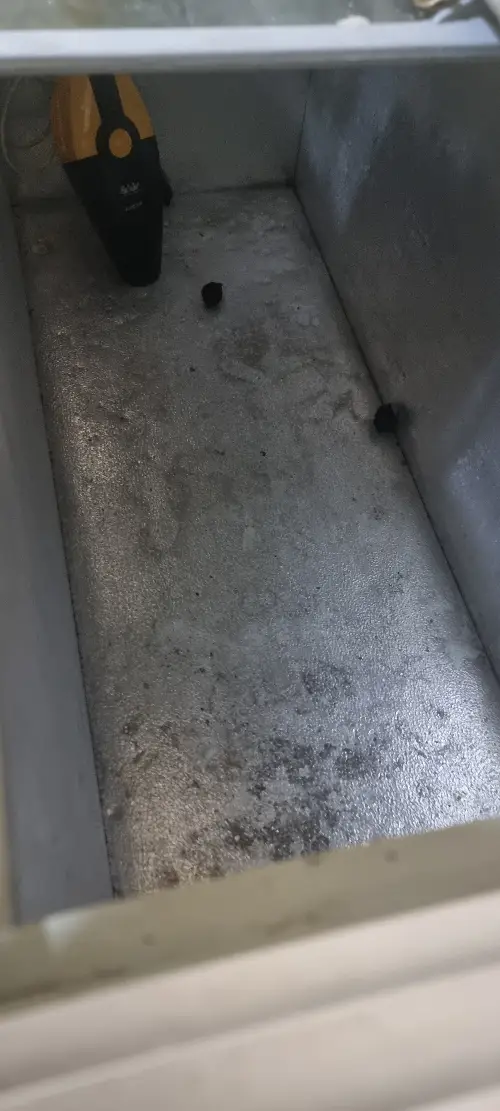 ssss