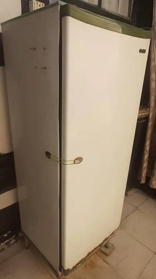 ssss