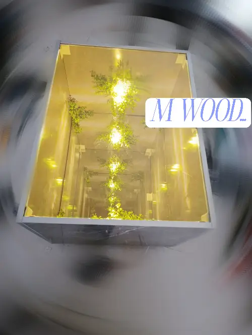 ssss
