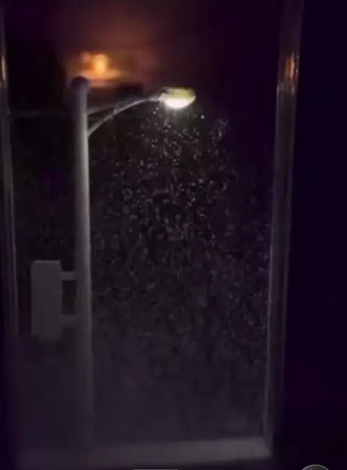 ssss