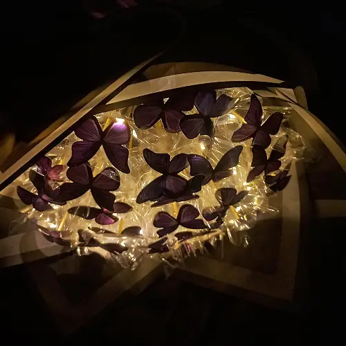 ssss