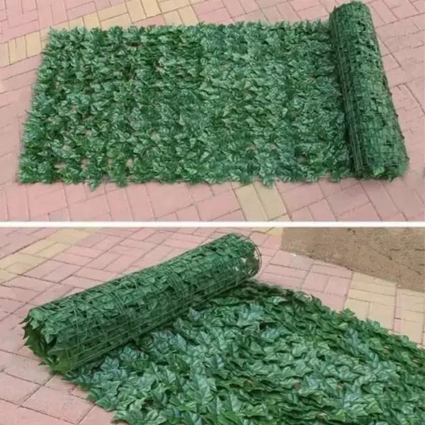ssss
