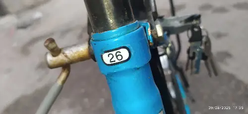 ssss
