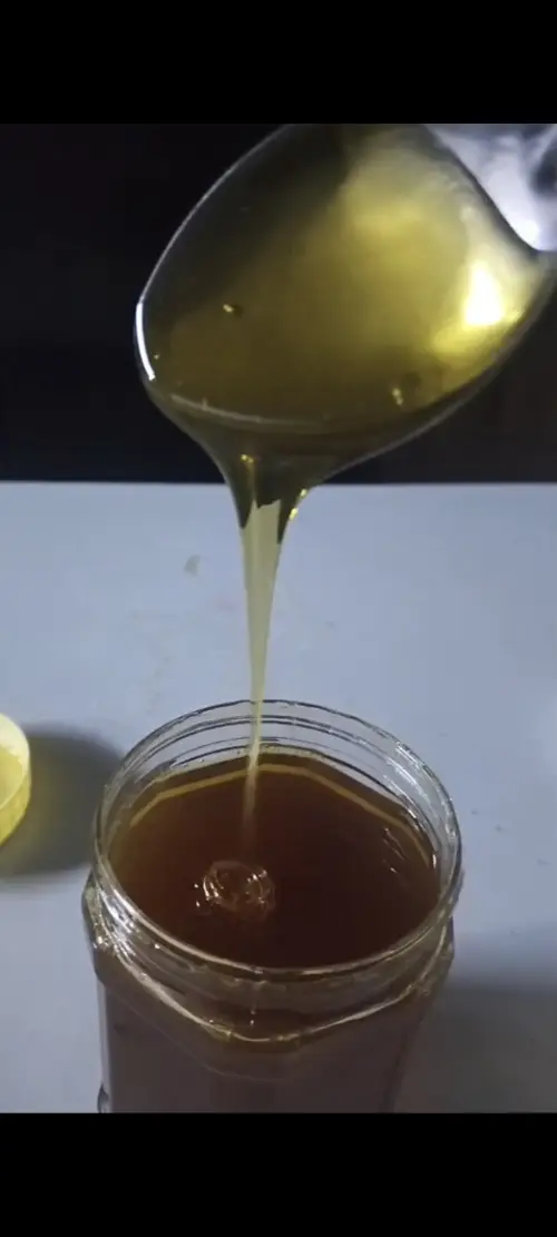 ssss