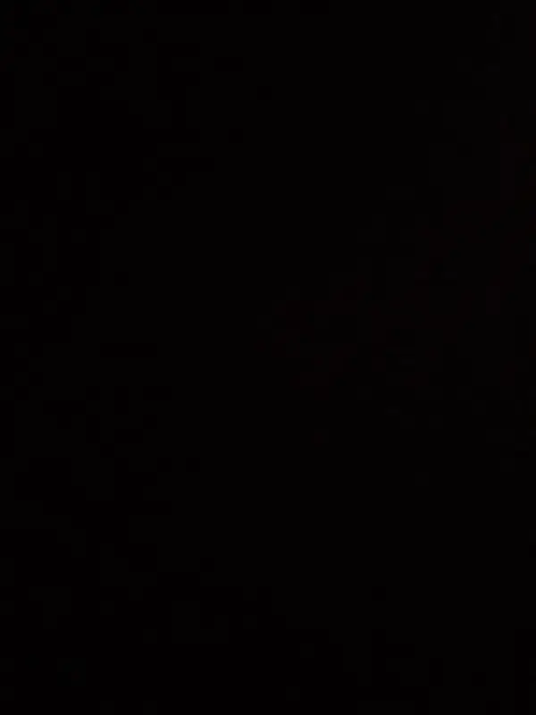 ssss