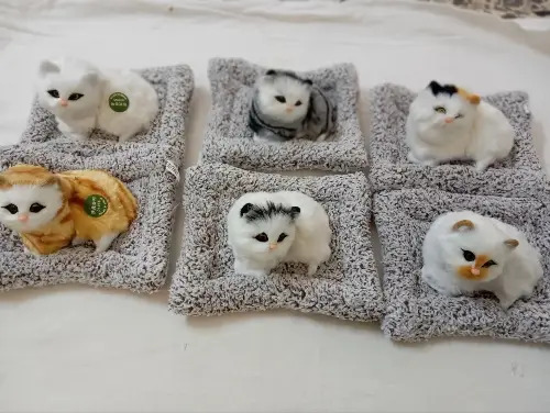ssss