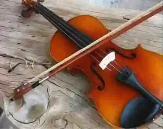 ssss