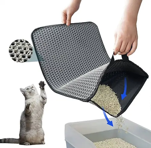ssss
