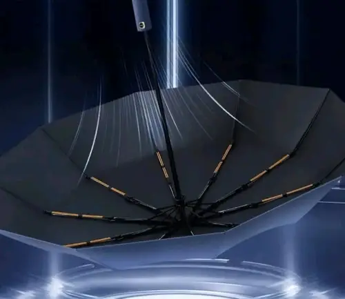 ssss