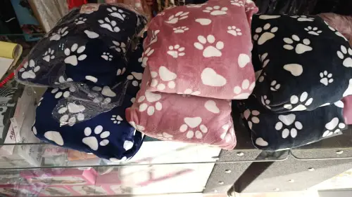 ssss